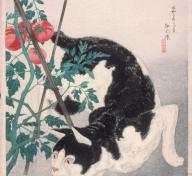 Takahashi Hiroaki, Cat with Tomato Plant, 1931