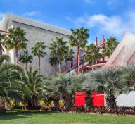 LACMA building and palm trees