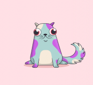 CryptoKitty on a pink background