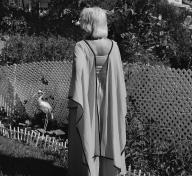 Latest articles | Unframed