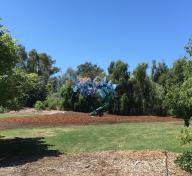 Installation photograph, featuring Nancy Graves’s Trace (1981), in the exhibition HIDE AND SEEK—Art Meets Nature, at the South Coast Botanic Garden